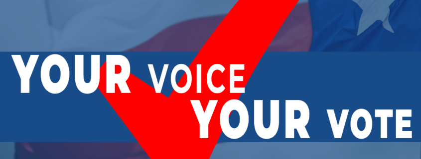 Your Voice Your Vote